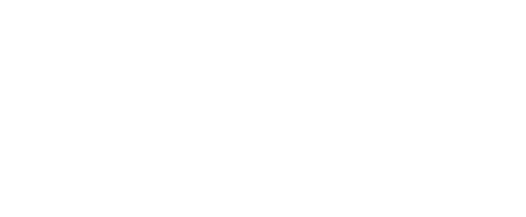 roig.com